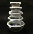 5 PCS Glass Bowl Set With Design on