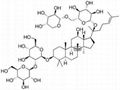 Ginsenoside 10%~80% 2