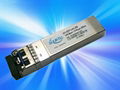 SFP10G    2