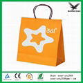 Paper Bag for promotional gift package