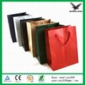 Paper Bag for promotional gift package 5