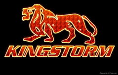 Union kingstorm motor ltd 