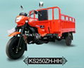 250cc big power motor tricycle cargo 2013 model 1