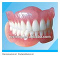 2013 hot full acrylic denture or full