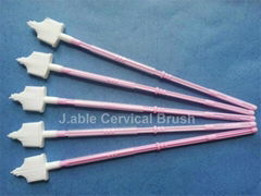 Cervical Brush