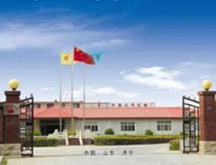 Shandong China Coal Industry & Mining Group Co.,Ltd  