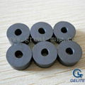 Ring ferrite magnet