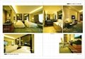 Deluxe Business Suite Hotel Bedroom Furniture 2013 for Star Hotel(EMT-B1205)   3