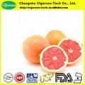 high quality grapefruit extract powder 3