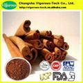 Cinnamon Bark Extract Powder