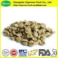 bulk green coffee beans extract powder  1