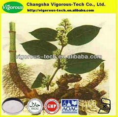 giant knotweed extract powder price