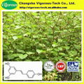 giant knotweed extract powder price 2