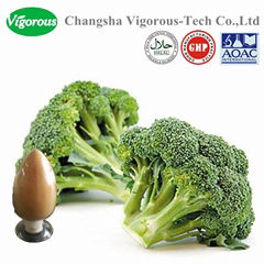 Free sample broccoli extract powder