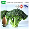 Free sample broccoli extract powder 3