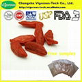 goji berry extract or lycium extract  1