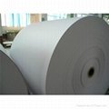 Offset Printing Paper (100% Wood Pulp) 2