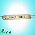 LED Module with good price 4