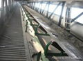 Belt conveyor for material handling 1