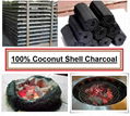 Coconut Shell Charcoal 1