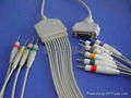 ECG cable 4