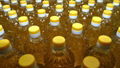 SUNFLOWER OIL  2