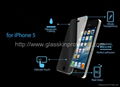 iPhont 5/5s Tampered glass screen protector 1