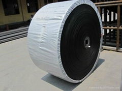 EP conveyor belt