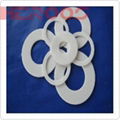 PTFE Gasket