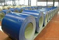 Color coated steel coil  2