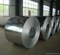 hot rolled steel coil