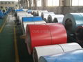 PPGI steel coil 1