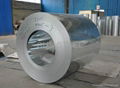 galvanized steel coil