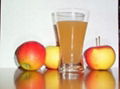 apple juice concentrate 