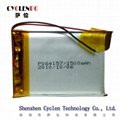 lithium ion polymer battery 