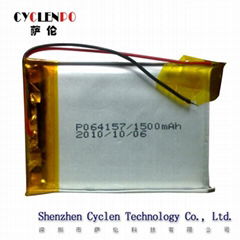 lithium ion polymer battery