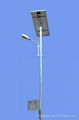 Solar CFL and LED Street Lights