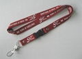 Lanyard