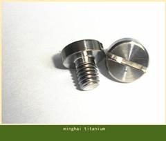 titanium slotted pan head bolts