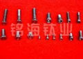 titanium square head  bolts