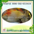 frozen fish of red pomfret pompano