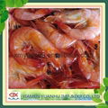 sea frozen white vannamei shrimp headless 4