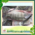 frozen fresh tilapia fish 1