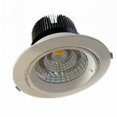 COB LED Ceiling Lamp