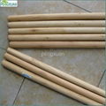 Natural wooden broom handle 2