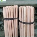Natural wooden broom handle 3