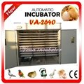  brand new poultry machine of industrial quail incubator(VA-2460)