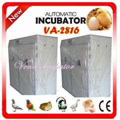 holding 2816 eggs of automatic icubator with automatic egg turner(VA-2816) 