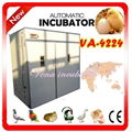 The leading manufacturer of automatic large incubator(VA-4224) 1