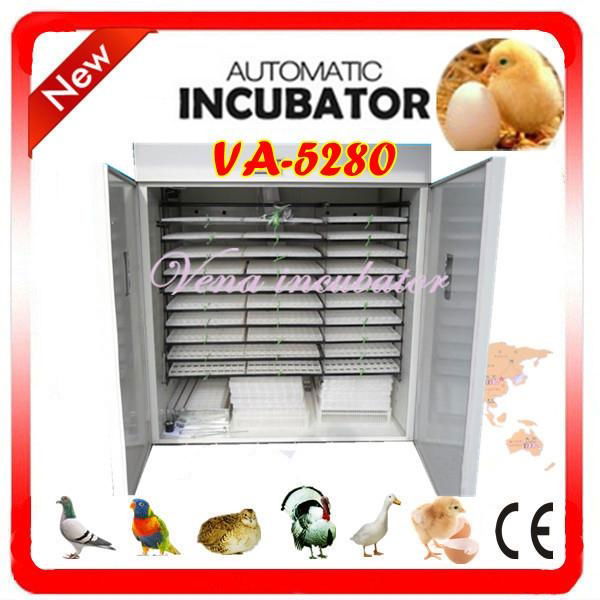 Vena brand experienced and automatic incubator at best price(VA-5280)